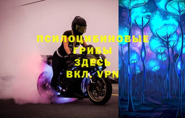 стафф Волосово