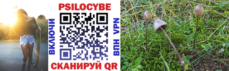 цена наркотик hydra онион Псилоцибиновые грибы мухоморы Лысьва