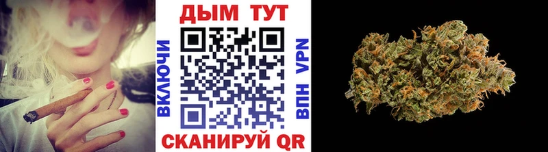 Конопля планчик Лысьва